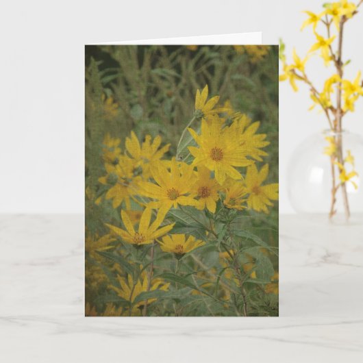 ひまわり、誕生日 カード (黄色い花)