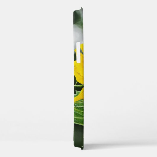 ひまわり Case-Mate iPhoneケース (裏面 / 右)