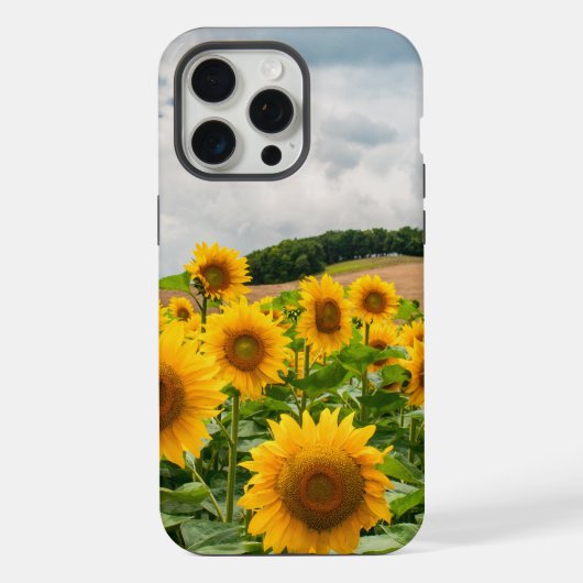 ひまわり iPhoneケース (裏面)