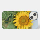 ひまわり iPhone 13 カバー (裏面横)