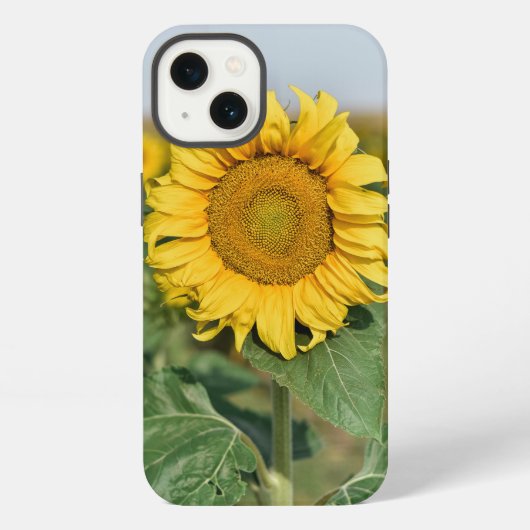 ひまわり iPhone 13 カバー (裏面)