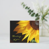 ひまわり：S' 考える You Postcare ポストカード (スタンド正面)