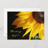 ひまわり：S' 考える You Postcare ポストカード (正面/裏面)