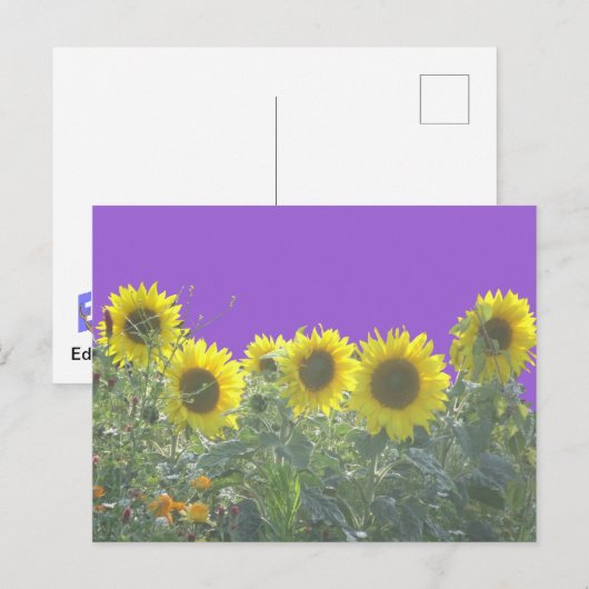 ひまわりDIYはがき ポストカード (正面/裏面)