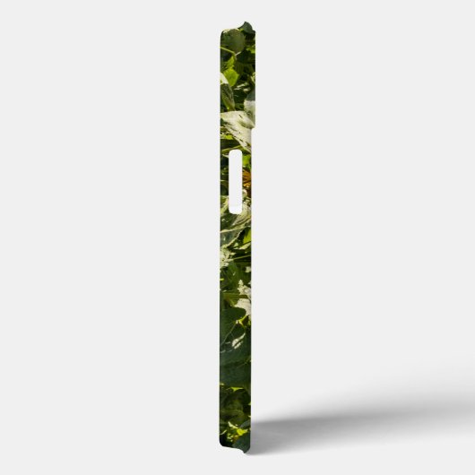 ひまわりiPhoneケース Case-Mate iPhoneケース (裏面 / 右)