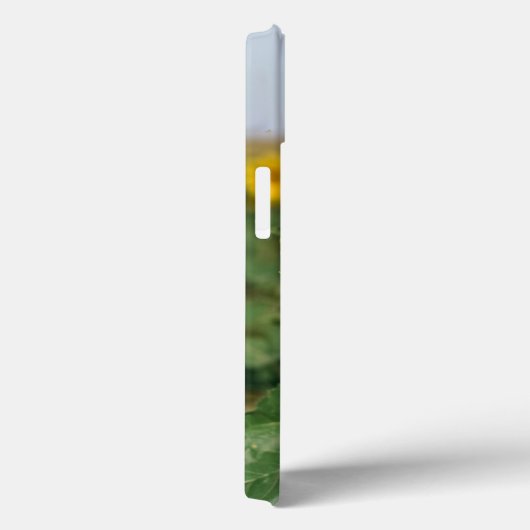 ひまわりiPhone 13ケース Case-Mate iPhoneケース (裏面 / 右)