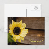 ひまわ感謝していり ポストカード (正面/裏面)