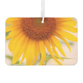 ひまカスタマイズ花空気清浄剤 カーエアーフレッシュナー (裏面)