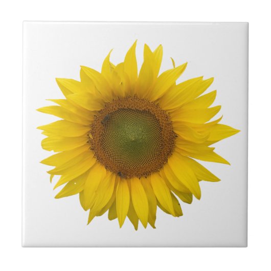 ひまモダンわシンプルけ素朴 タイル (正面)