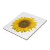 ひまモダンわシンプルけ素朴 タイル (側面)