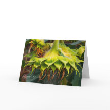 ひまユニーク花