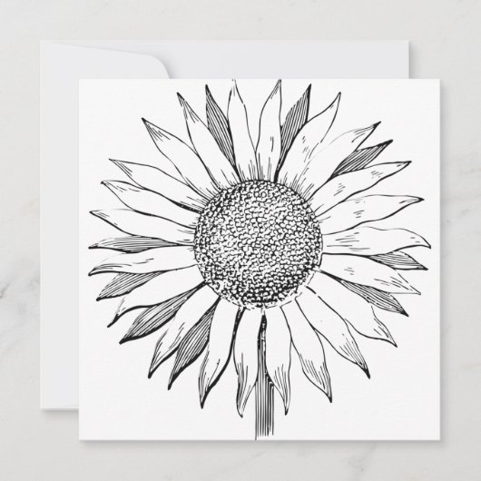 ひま図解入りの、写真付きの花 カード (正面)