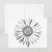 ひま図解入りの、写真付きの花 ポストカード (正面/裏面)