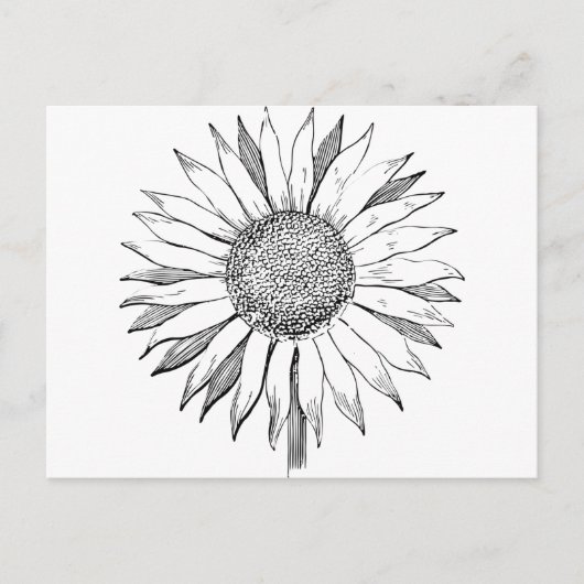 ひま図解入りの、写真付きの花 ポストカード (正面)