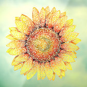 ひま渦巻形の花 ウィンドウサイン (シート3)