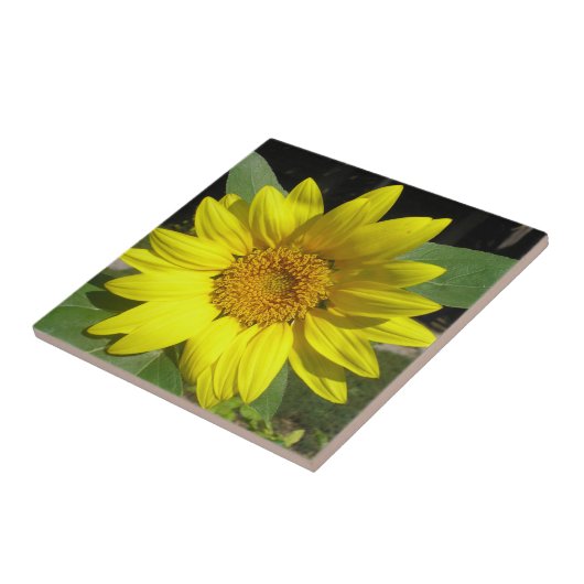 ひま独身の花 タイル (側面)