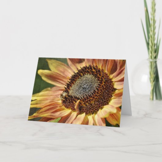 ひま素朴花 カード (正面)