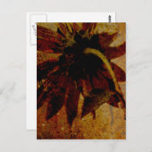 ひま素朴花 ポストカード (正面/裏面)