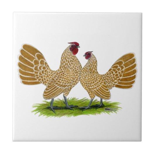 ひもで締められるSebrightsのもみ革 タイル (正面)