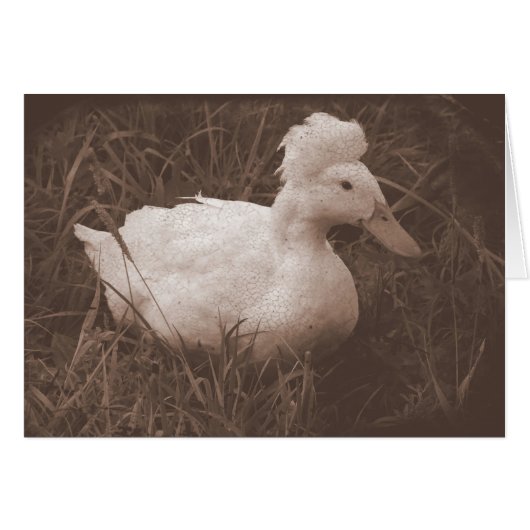 ひもを折り曲げる (正面横)