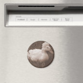 ひもを折り曲げる マグネット (インサイチュ (食洗機))