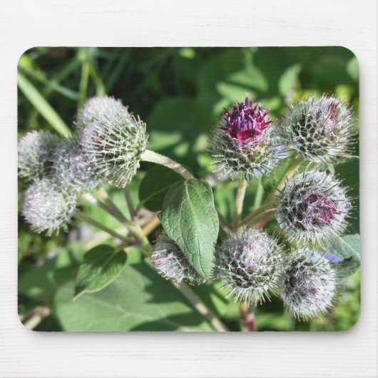 ひもを結ぶ マウスパッド (正面)