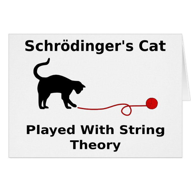 ひも理論と遊ばれるSchrödingerの猫 (正面横)