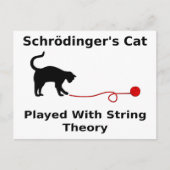 ひも理論と遊ばれるSchrödingerの猫 ポストカード (正面)