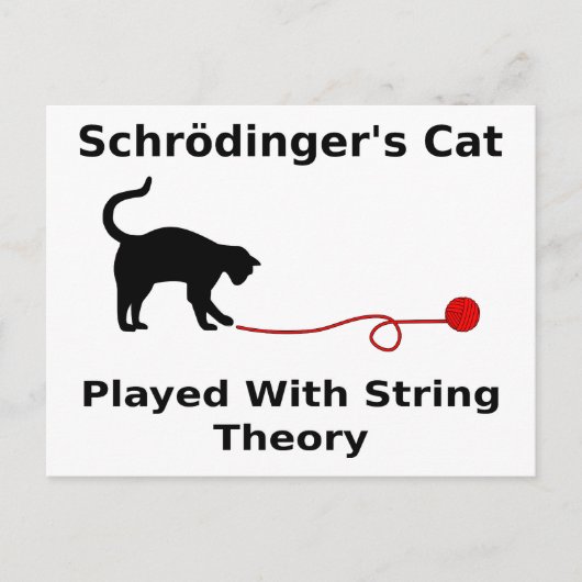 ひも理論と遊ばれるSchrödingerの猫 ポストカード (正面)