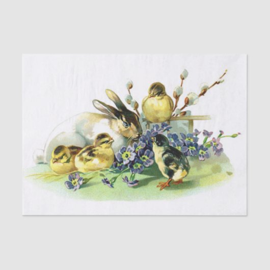 ひよこおよびバニー 薄葉紙 (正面)