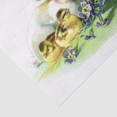 ひよこおよびバニー 薄葉紙 (詳細)