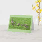 ひよこたちとアヒル カード (黄色い花)