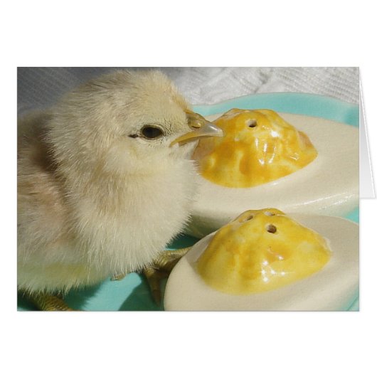 ひよことデビルエッグ2 (正面横)