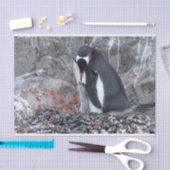ひよこのある鼠径部 薄葉紙 (クラフト)