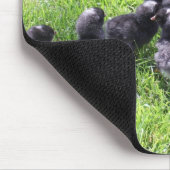 ひよこのマウスパッドのコシャンの黒い鶏 マウスパッド (コーナー)