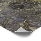 ひよこはドラマクイーン! ポスター (角)