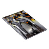 ひよこを持つキングペンギン ノートブック (右側)