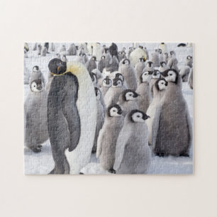 ひよこを持つコウテイペンギンの大人 ジグソーパズル