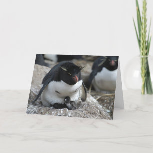 ひよこを持つRockhopperのペンギン カード