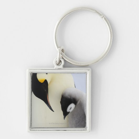ひよこを見ているコウテイペンギン キーホルダー (正面)