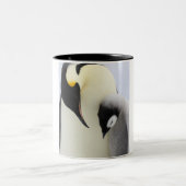 ひよこを見ているコウテイペンギン ツートーンマグカップ (中央)