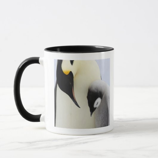 ひよこを見ているコウテイペンギン マグカップ (左)