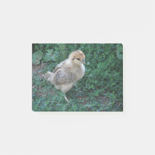 ひよこ ポストイット (正面)