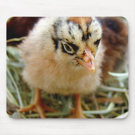ひよこ マウスパッド (正面)