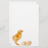 ひよこ 便箋 (正面/裏面)