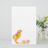 ひよこ 便箋 (スタンド正面)