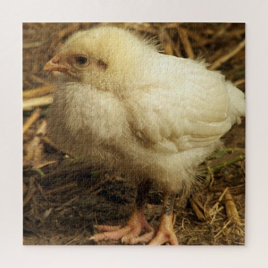 ひよこ,動物,鳥,農場,可愛い,パズル, ジグソーパズル (縦)
