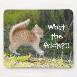 びっくりおもしろいしたジンジャーの子猫。フリックは? マウスパッド