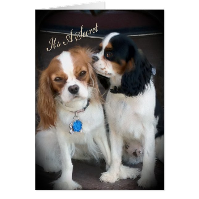 びっくりパーティ"それは秘密"カードです (正面)