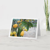 びわの木の肖像 カード (正面)